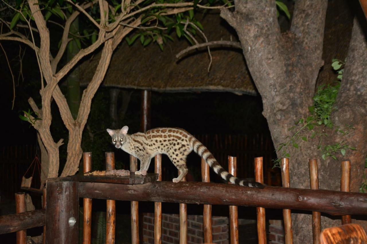 Bona Ngwenya Lodge & Safaris Марлот-Парк Экстерьер фото